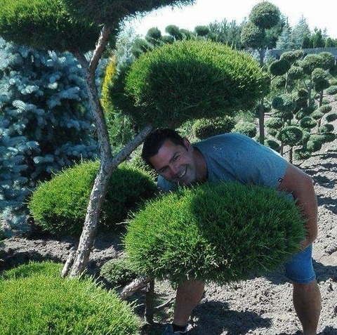 Pielęgnacja i kształtowanie zieleni